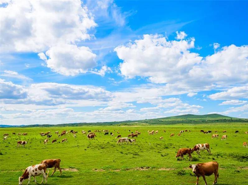 内蒙古，草原丝绸之路上的绿色发展新篇章