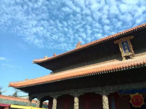 山东概览，全面解读山东的综合发展态势